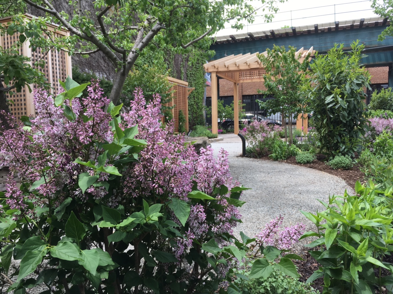 Community Gardens